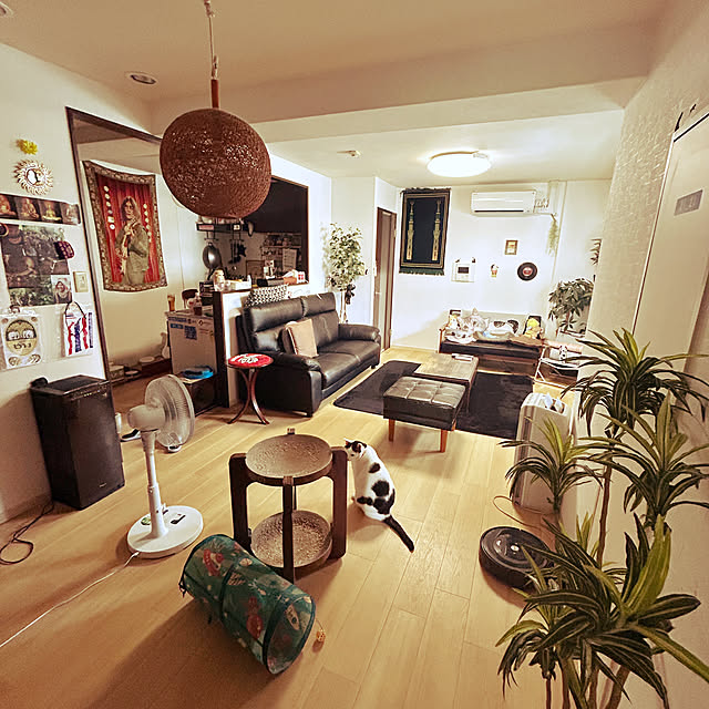 部屋全体/植物/植物のある部屋/ねこのいる風景/NO GREEN NO LIFE...などのインテリア実例 - 2024-06-09 23:00:11