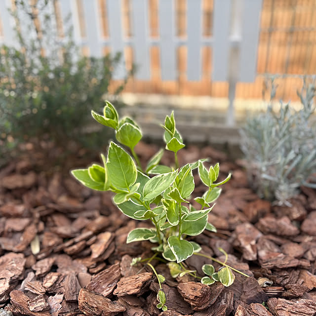 Haruさんの実例写真