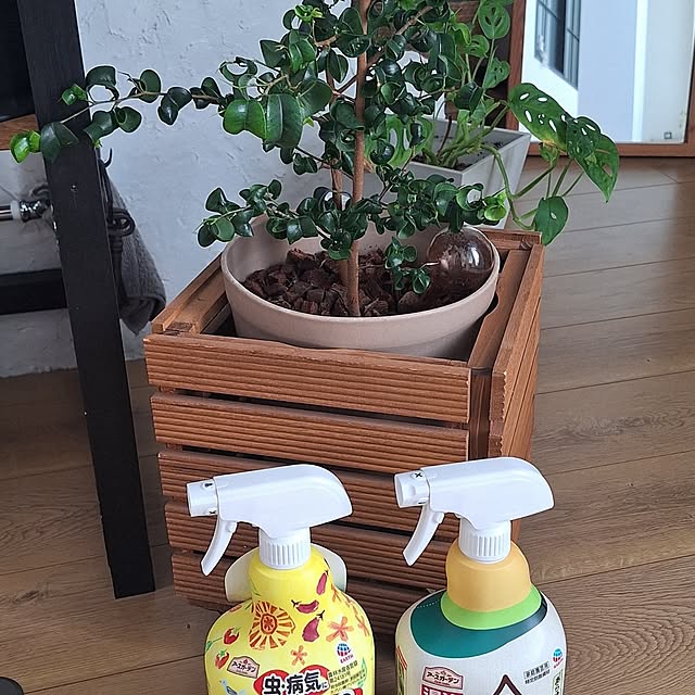 hanapanさんの部屋