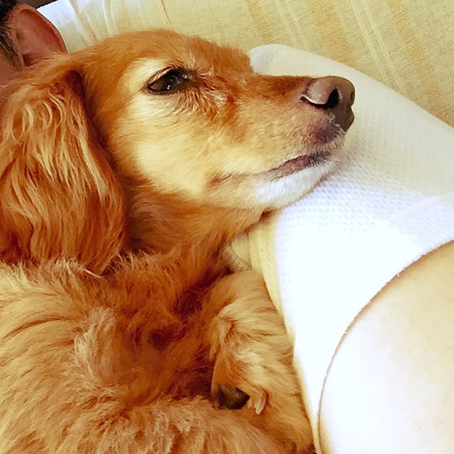 sakuさんの実例写真