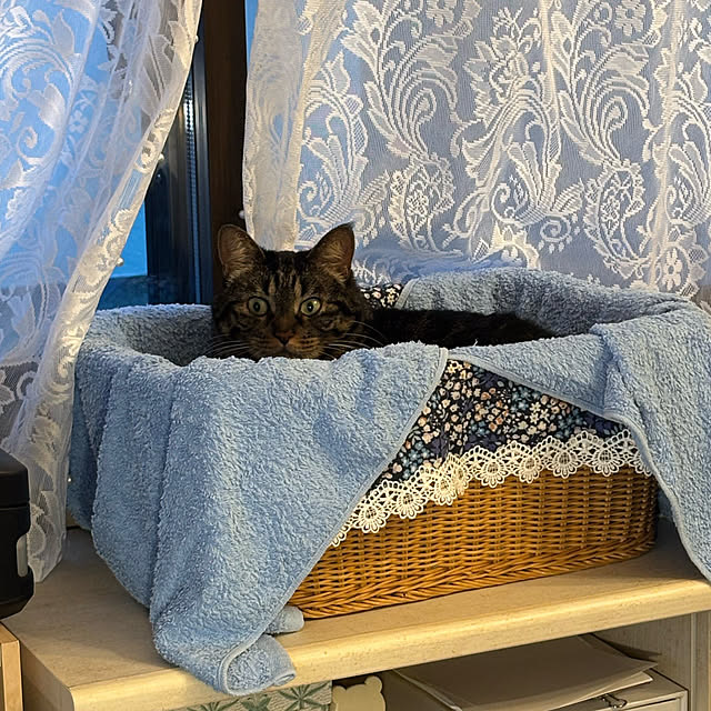 momocchiさんの部屋