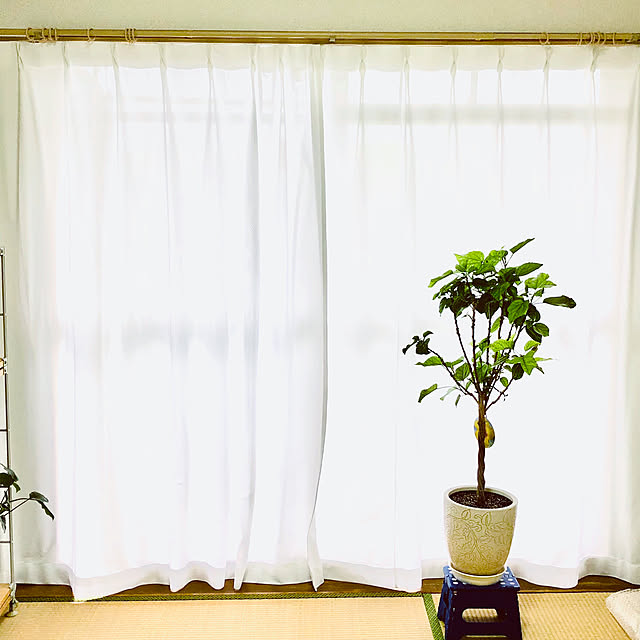 hanachanさんの部屋