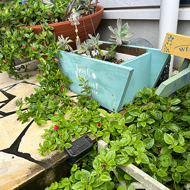 Fumiさんの部屋