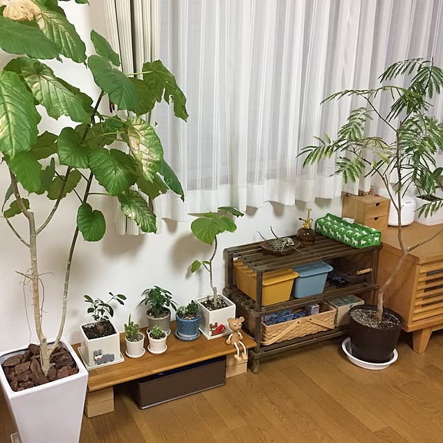yukoさんの実例写真
