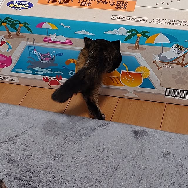 noguriさんの部屋