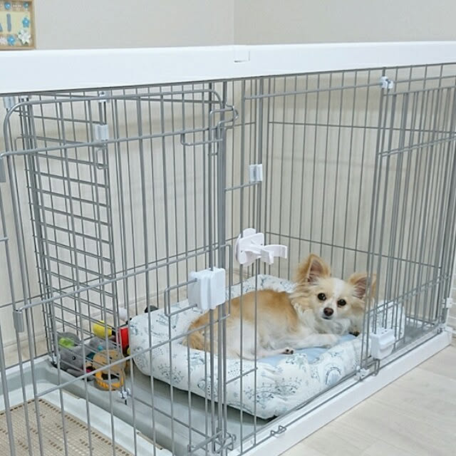 PAOさんの実例写真