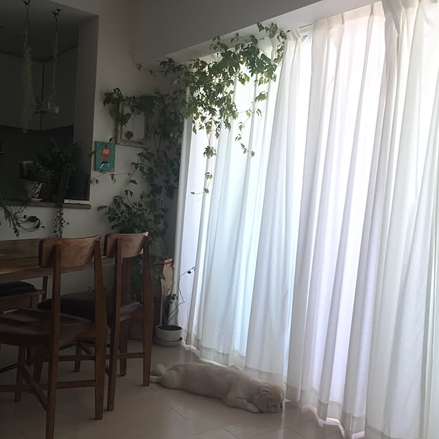 bubuさんの実例写真