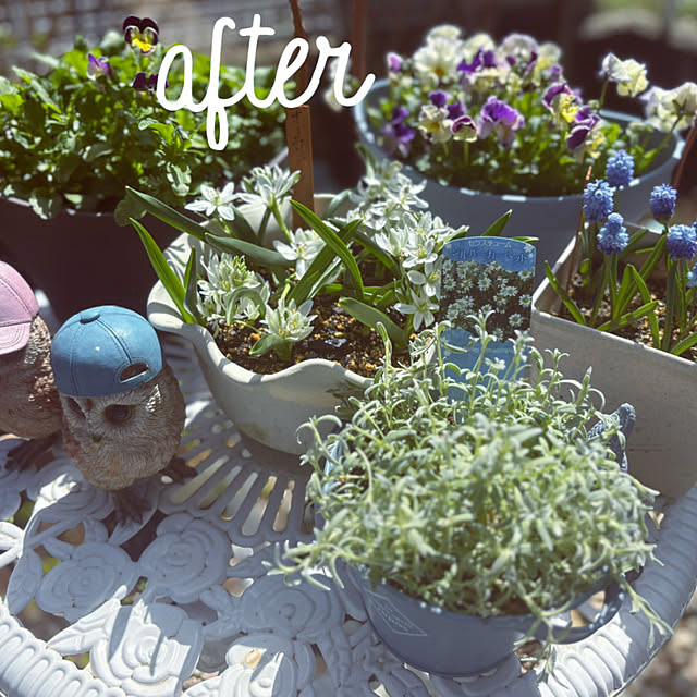 CoCo0617さんの実例写真