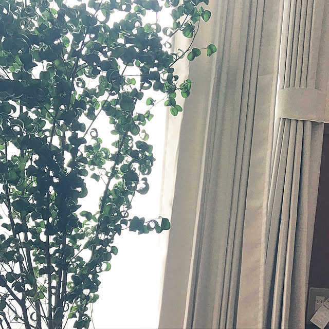 fukaさんの実例写真