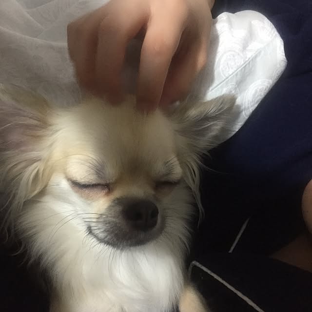 gentaさんの実例写真