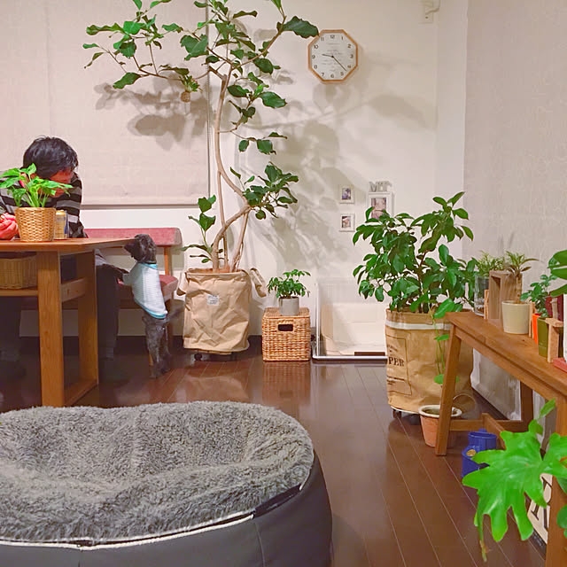 risaさんの実例写真