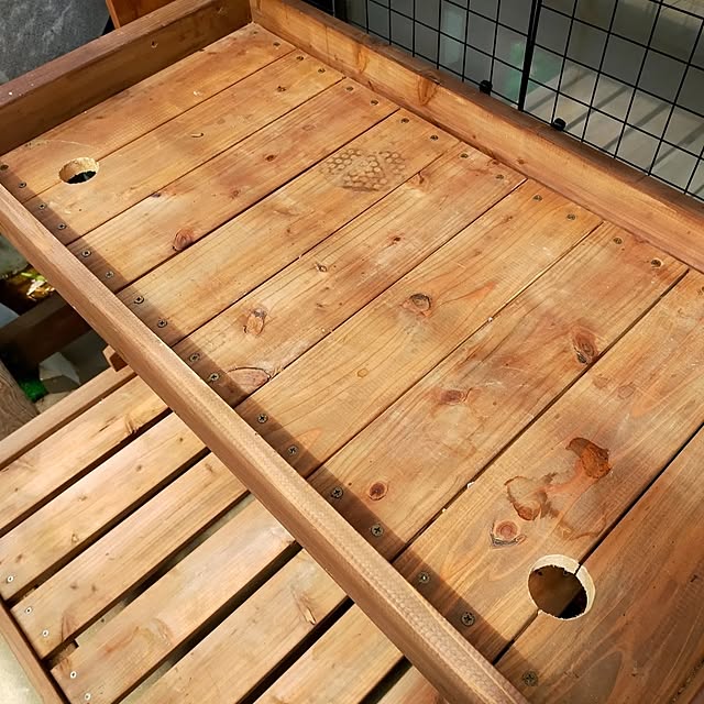 leon.cat172さんの部屋