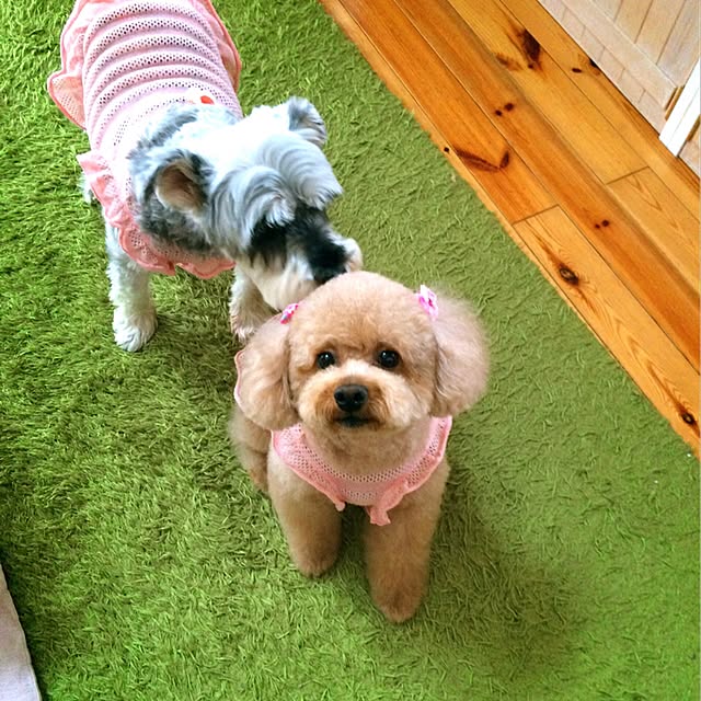 HappyRoseさんの実例写真