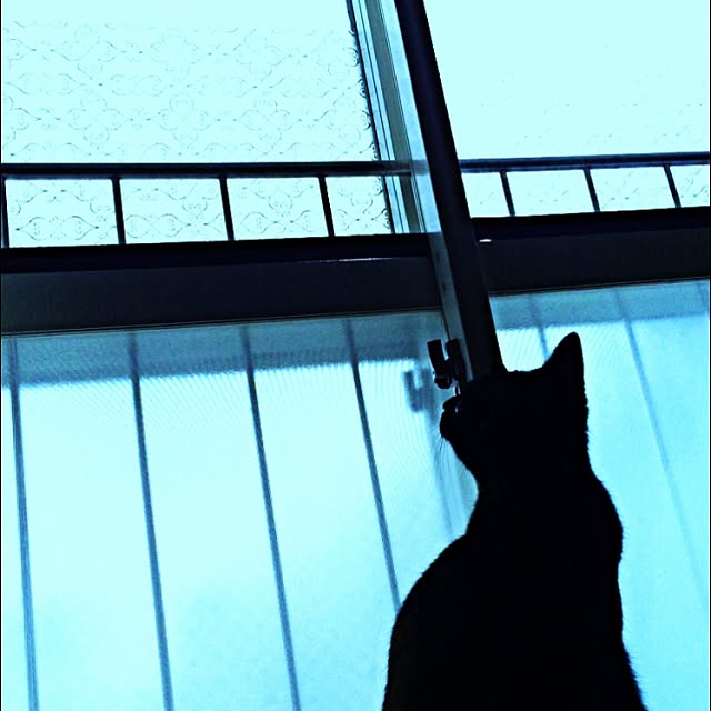 acoさんの実例写真
