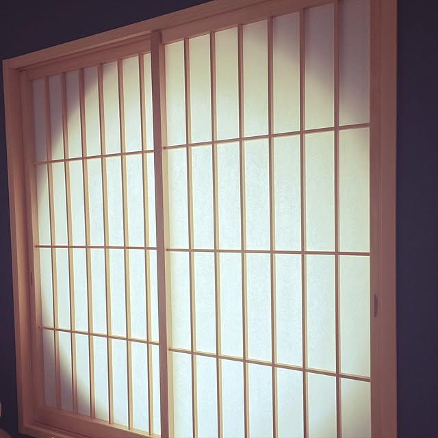 LINOSAURUSさんの実例写真