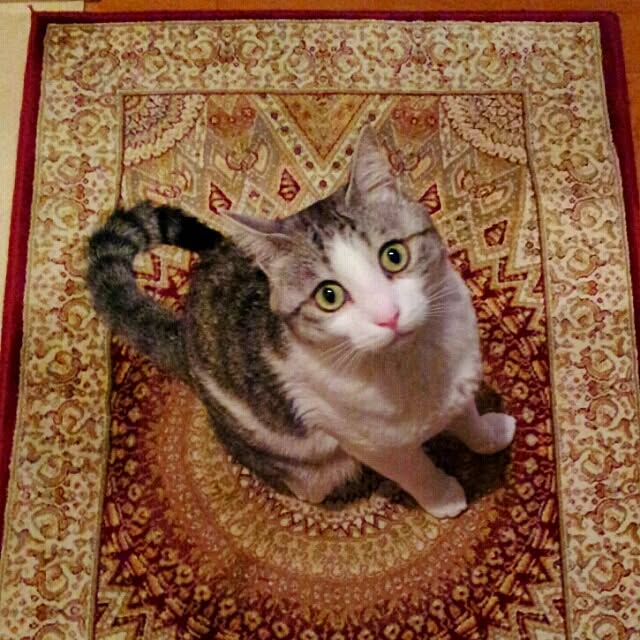 emmyyさんの実例写真