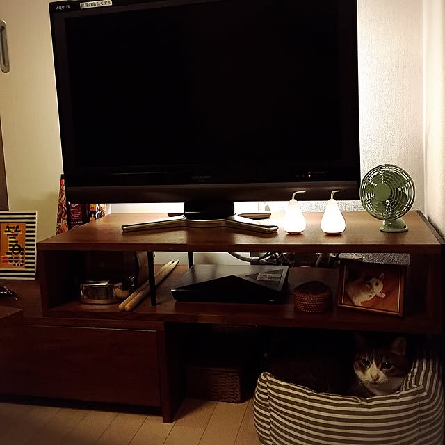 neopipeさんの実例写真