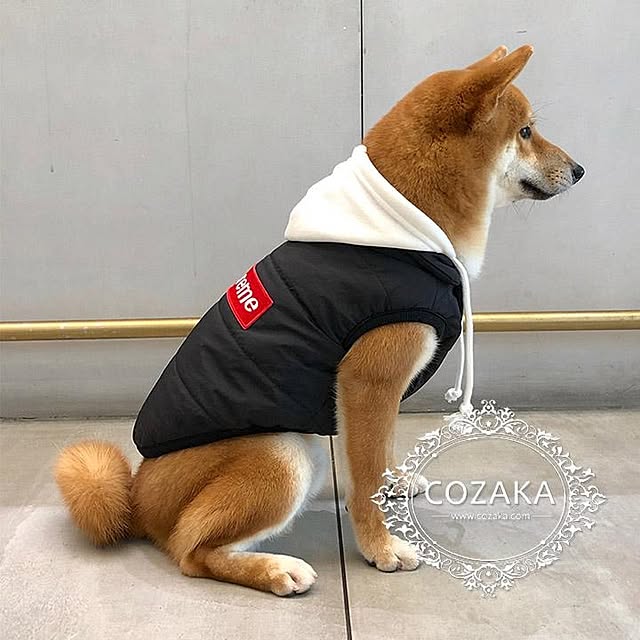 StaffCozakaさんの実例写真