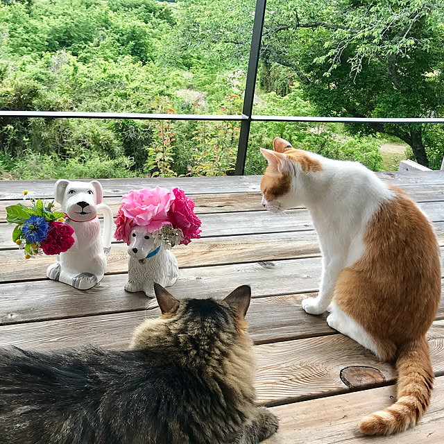 sakurasakuさんの実例写真