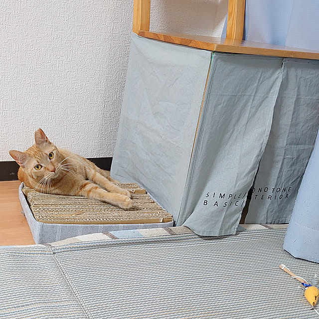 mannaさんの実例写真