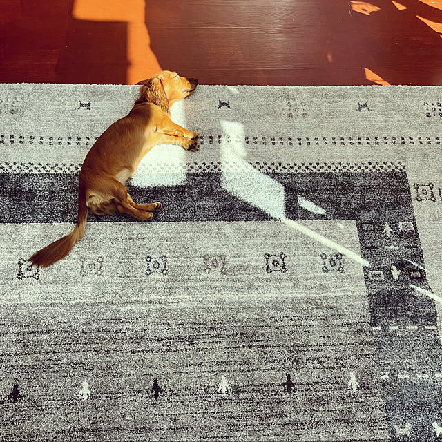 uninekoさんの実例写真