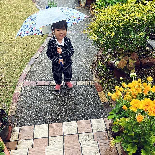 実例写真