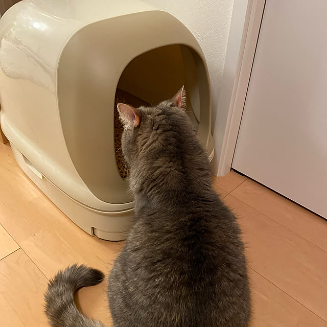 3chanさんの実例写真