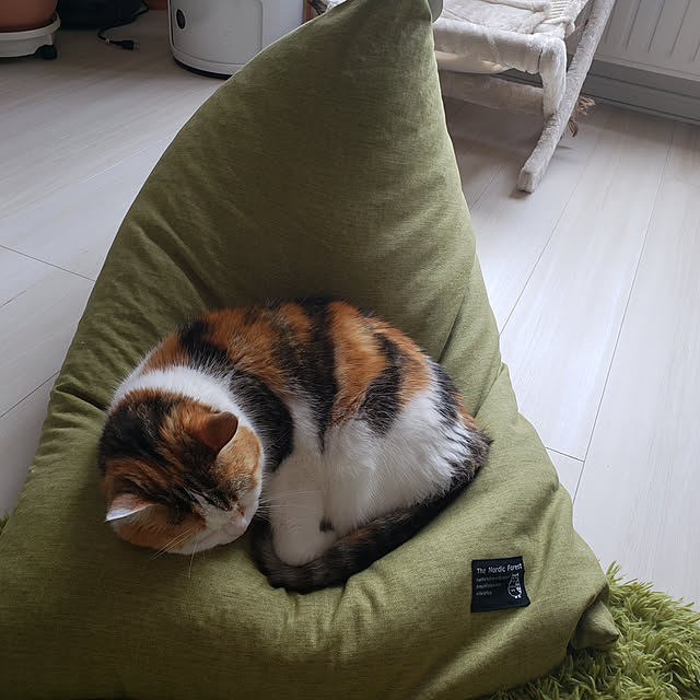 megu.catさんの実例写真