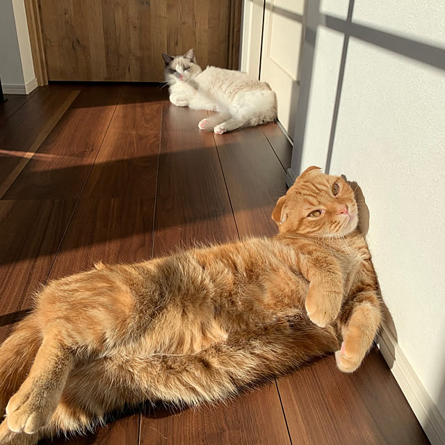 KJmaedaさんの実例写真