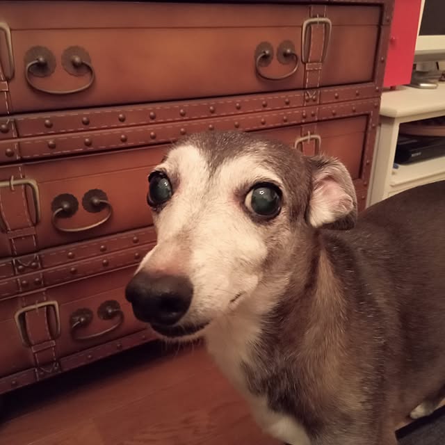 moruさんの部屋