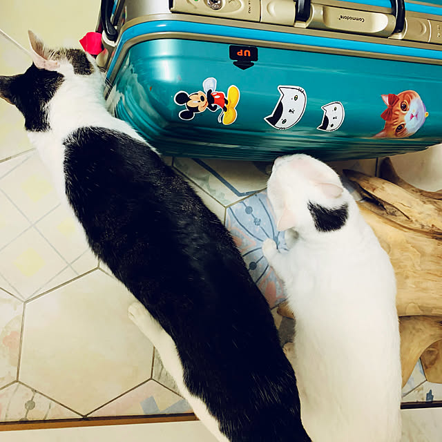 pcu110さんの実例写真
