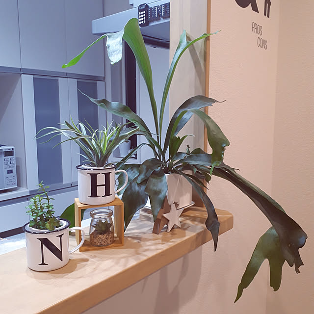 m.coccoさんの実例写真