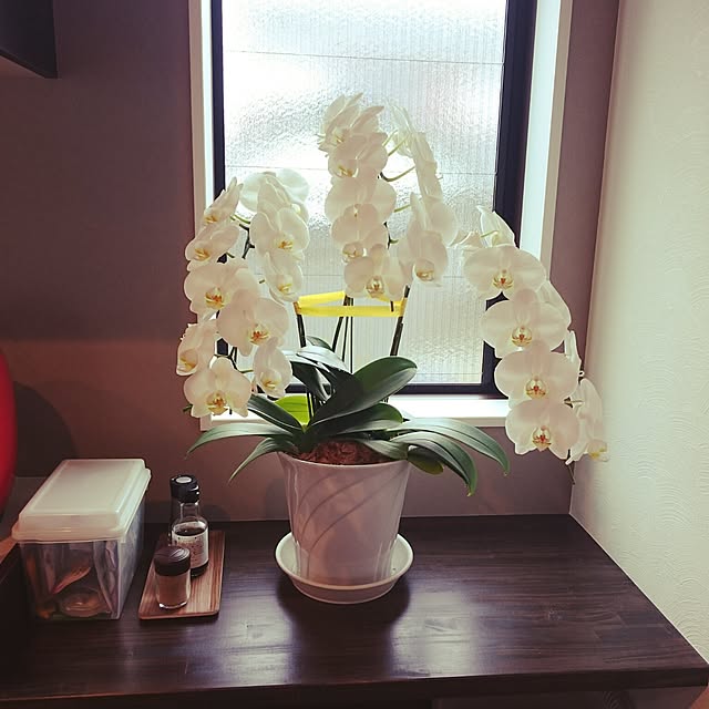 hellotookさんの実例写真