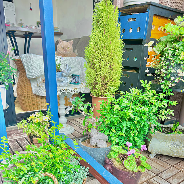 naokoさんの部屋