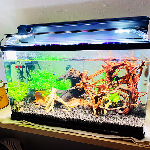 hiroriumさんの実例写真