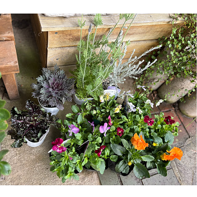 CoCo0617さんの部屋