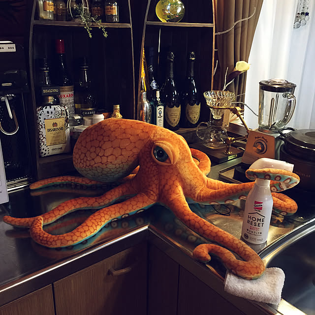 .さんの実例写真