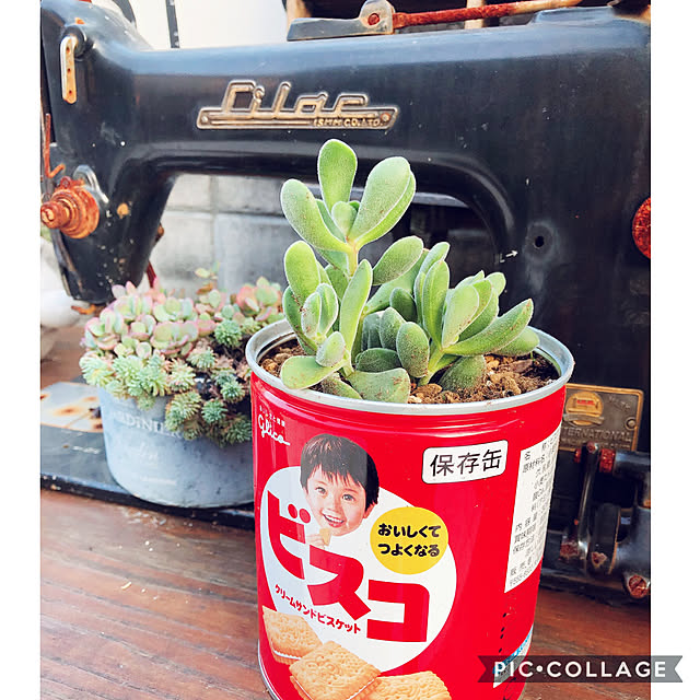 craneさんの実例写真