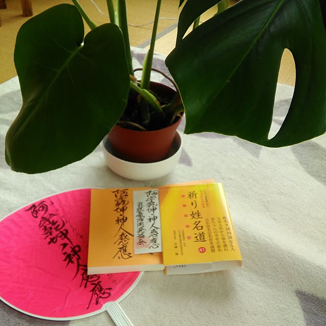 qpieさんの実例写真