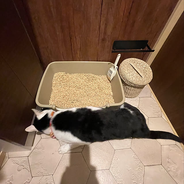 nekosamaさんの実例写真