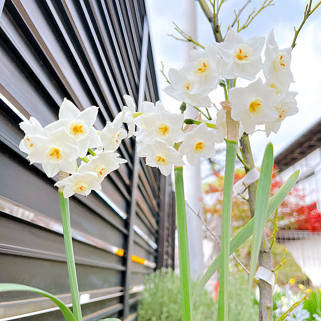 eriharuさんの実例写真