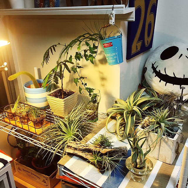 ritalin202さんの実例写真
