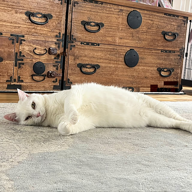 Maruさんの部屋
