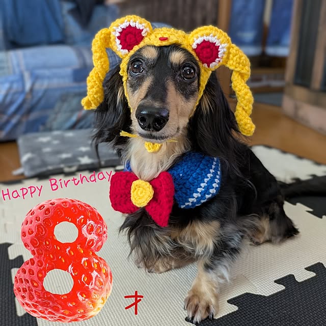 momozouさんの実例写真