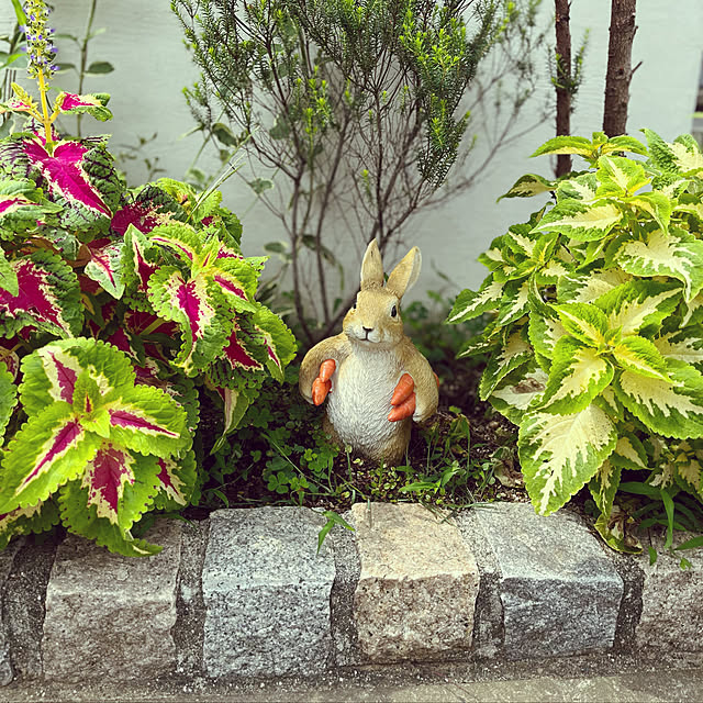 siosai10さんの実例写真