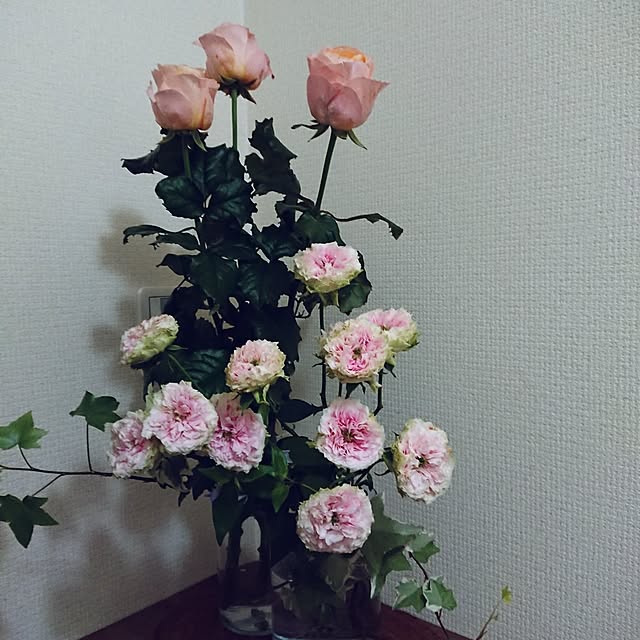 実例写真