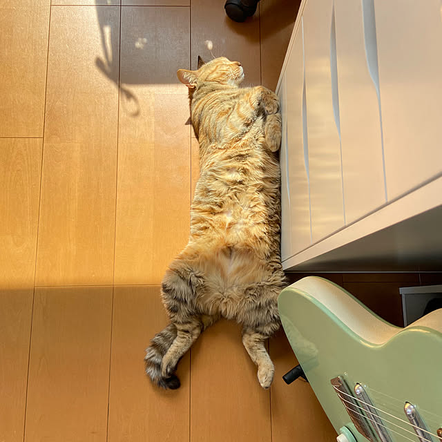 hansho.sさんの実例写真