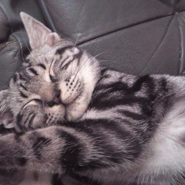 Kaoruさんの実例写真