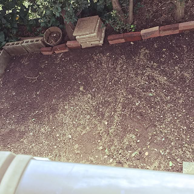 Maiさんの実例写真