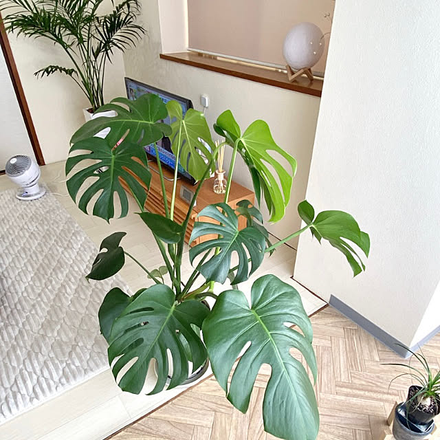 mk_27さんの部屋